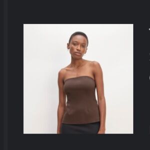 Everlane Chocolate Brown Tube Top